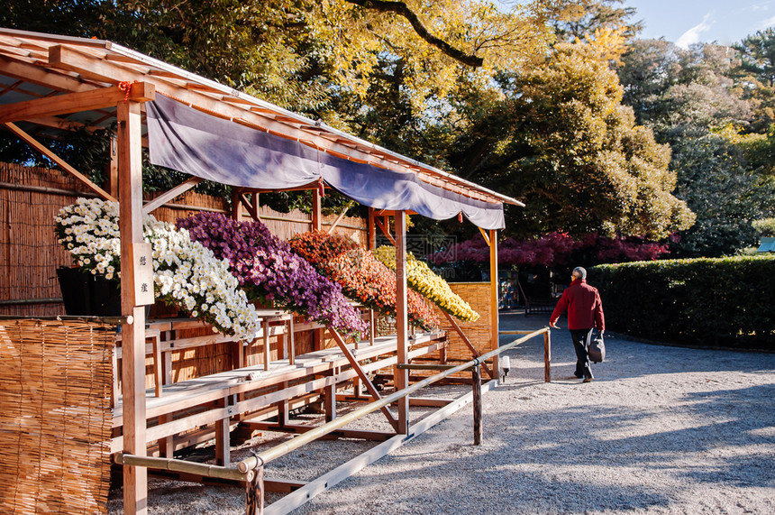 2014年秋天在Khounamkruen公园举行花节图片
