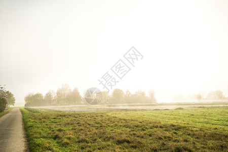 秋天在田地上雾图片
