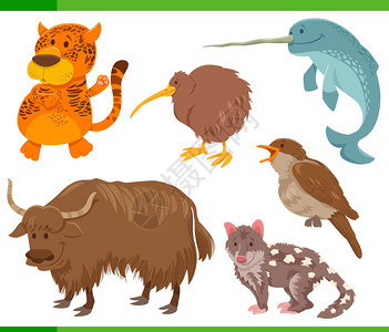 野生动物漫画插图高清图片