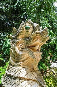 泰国清迈华宫神龙像泰国清迈瓦特帕拉德寺的白色雕像高清图片