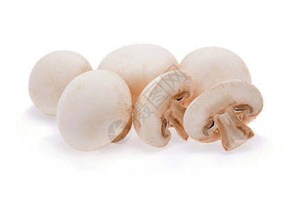 白种背景孤立的玉米蘑菇图片