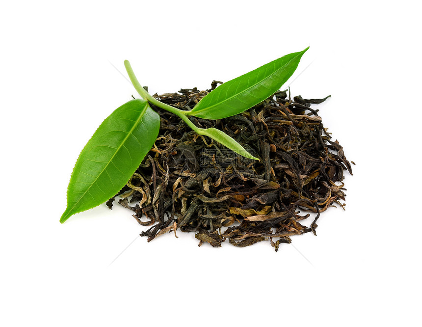 绿茶叶与干隔绝于白色背景图片