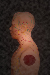 人体的医学针切模型背景图片