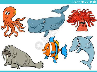 海洋生物漫画插图图片