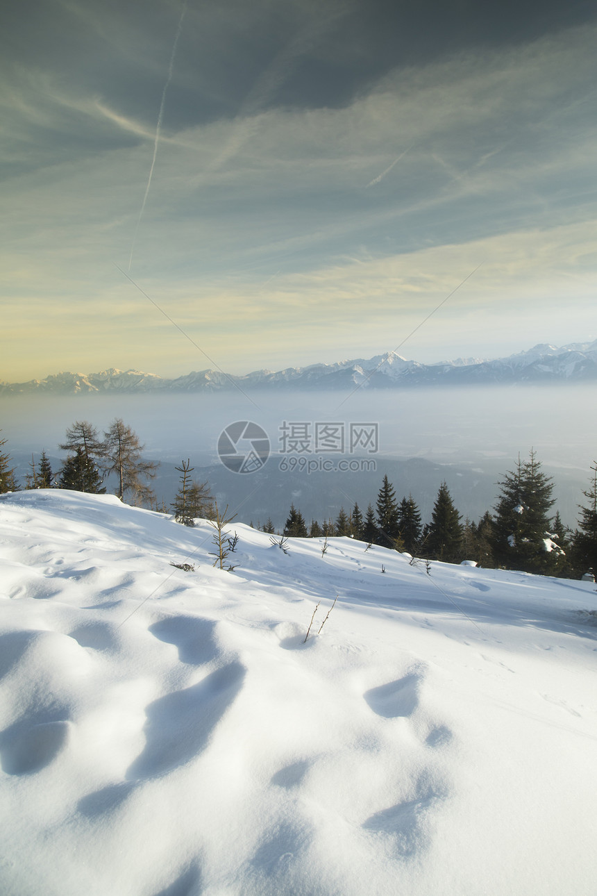 雪木的冬季风景图片