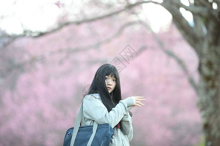 穿着长得像樱花的日本女学生自然走道背景图片