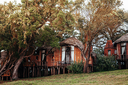 201年6月5日坦萨尼亚jun2501Tanzi豪华粘土屋非洲原始小别墅背景图片