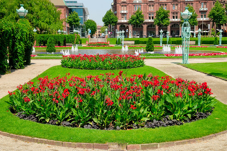 曼海姆美丽的城市景色有明亮的花床和草坪背景