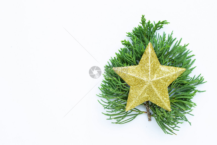 圣诞快乐节由金星组成白底带松树枝的金星复制空间图片