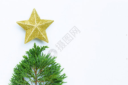 圣诞快乐节由金星组成白底带松树枝的金星复制空间图片