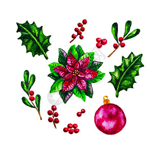 红水颜色黑白植物寄生霍利贝圣诞装饰品白底绝缘图片