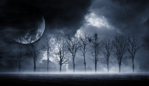 森林中月亮暗淡的黑场景有树木大月亮光烟雾影子抽象的黑暗寒冷街道背景夜视背景