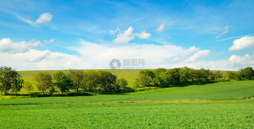 绿色地和蓝天空农业景广域照片图片