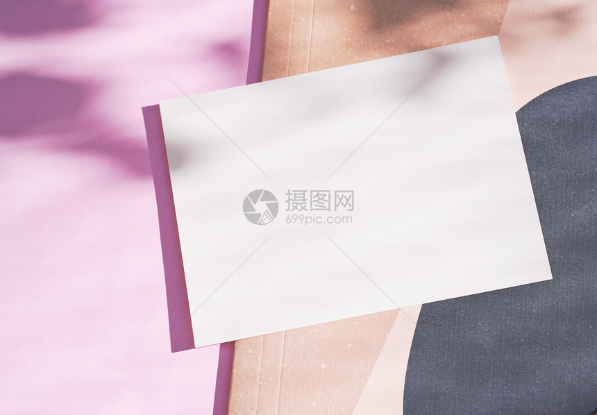 在粉红背景上贴品牌身份空白明信片用树叶植物的光和影子作为粉红背景设计上最小的概念图片