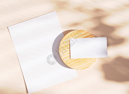 在黄色背景光和影子形状树叶最低设计概念上标有身份商业名卡和空白纸的品牌身份商业名卡和空白纸背景图片