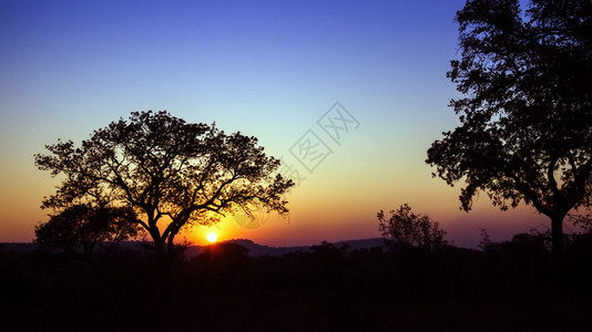 非洲南部Kruge公园日出风景图片