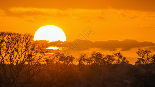 非洲南部kruge公园日落风景图片