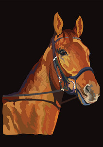 板栗头彩色的马画像设计图片