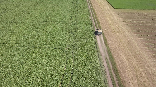 无人驾驶飞机在农田的空中飞行图片