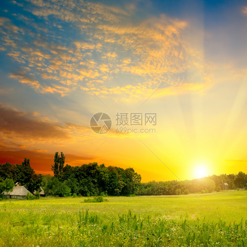 绿地日出和蓝天空农业景观图片