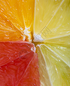 柑橘水果部分的近端柑橘水果宏观图象混合橙葡萄油柠檬和片质夏季水果背景图片