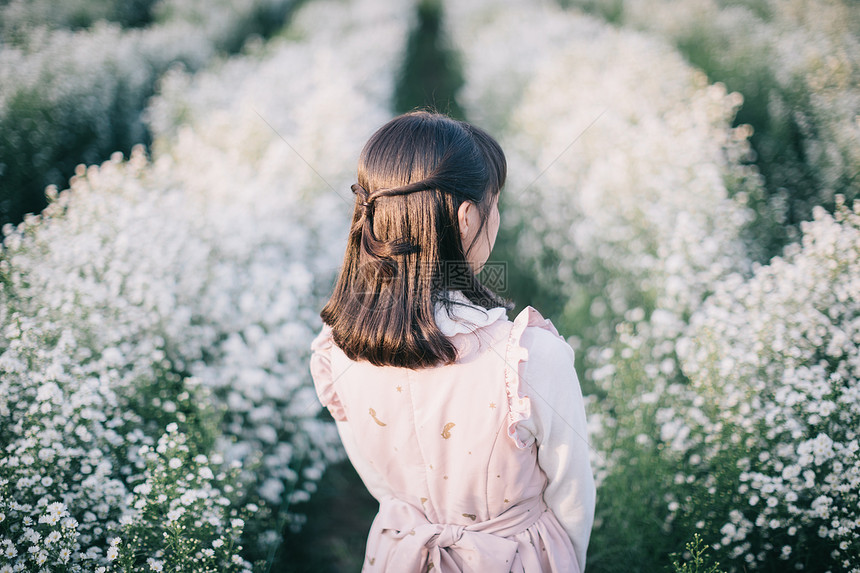 白花背景的小女孩肖像图片