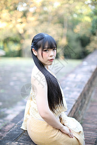 刘海戏金蟾穿着传统泰服的籍女肖像背景
