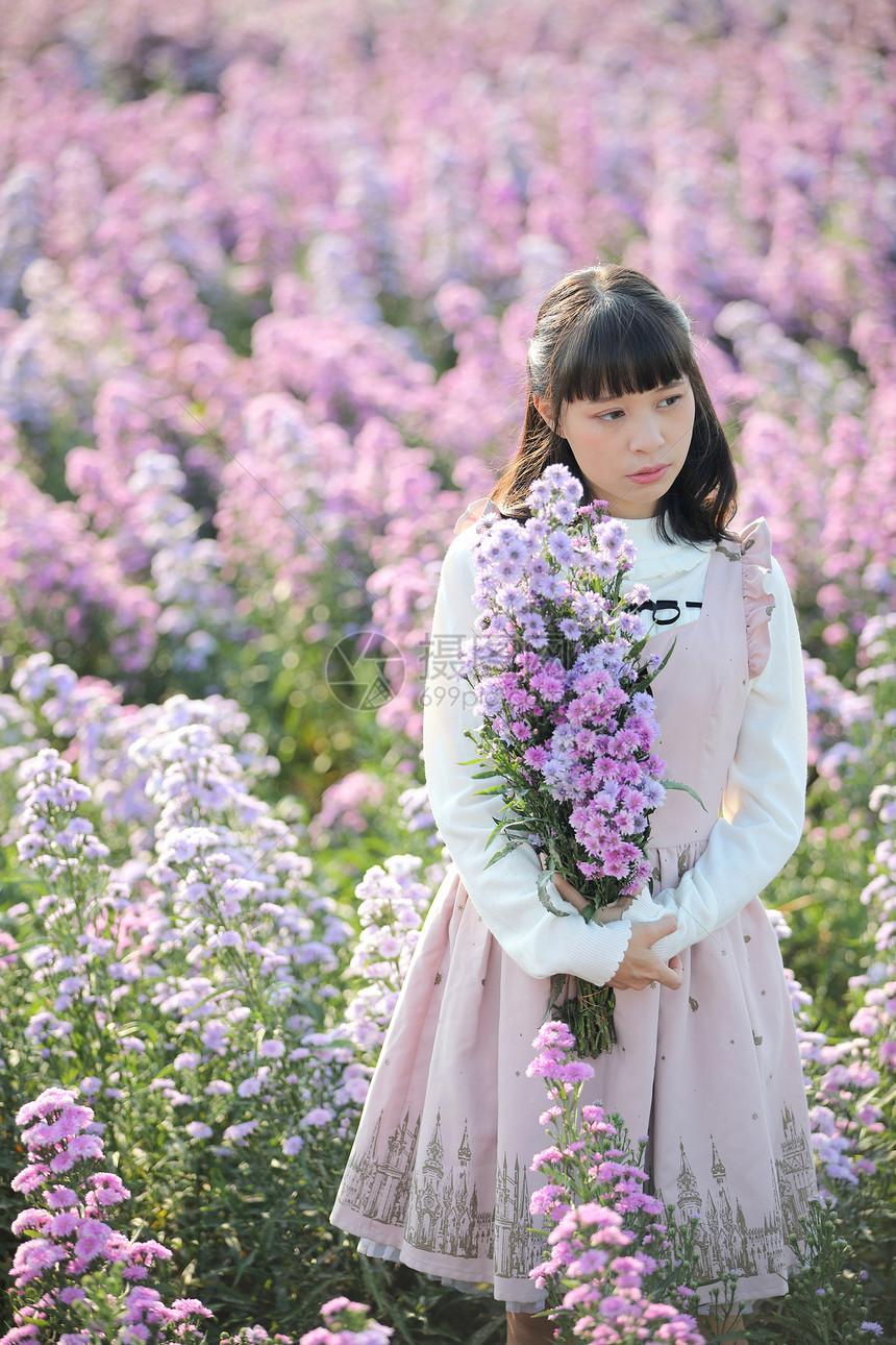 紫色花海里的短发女孩图片