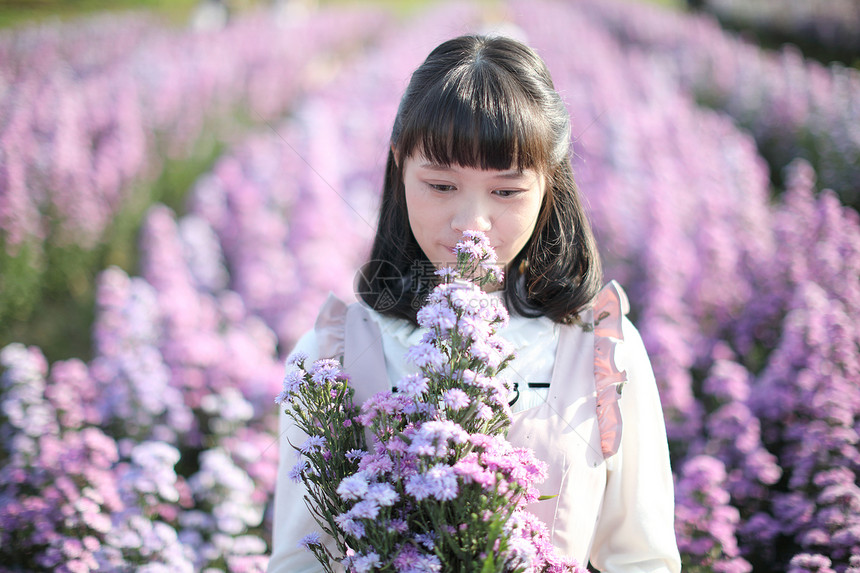 紫色花海里的短发女孩图片