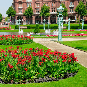 弗里德里希普拉茨美丽的城市景色有明亮的花床和草坪背景