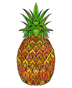 彩色涂鸦插图菠萝图片