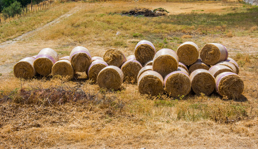 在西里意大利的麦收成后田地上的干草篮子图片