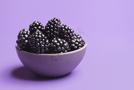 一个碗里的有机黑莓隔绝在紫色背景上新鲜黑莓水果成熟的浆碗夏天甜图片