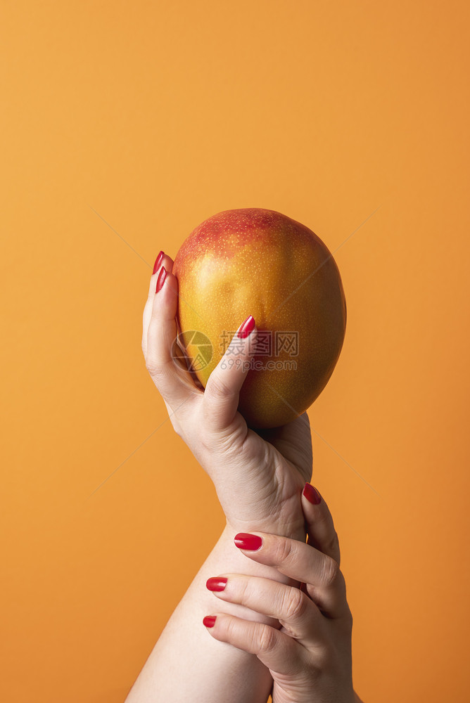 成熟的芒果握在手上橙色背景热带水果握在妇女手中有机的芒果水健康甜点夏季水果图片