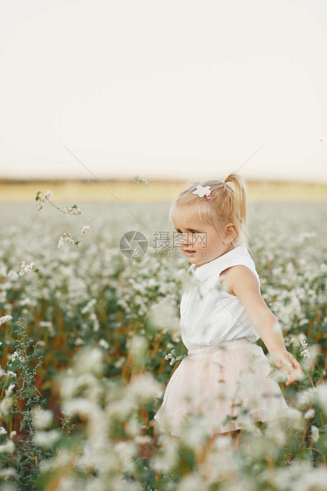 孩子们一位女孩的肖像一位在开花场的漂亮女孩年轻在开花场的玩耍两个尾巴的小女孩子和一个女孩的肖像一个开花场的漂亮女孩年轻在开花场的图片