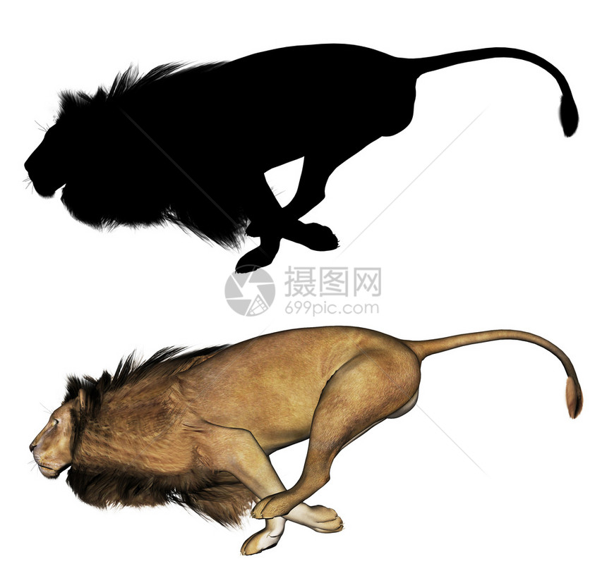 3d雄狮子和黑光影的数字投插图图片