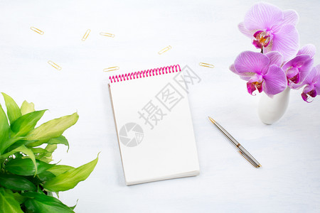 白桌上绿色植物叶笔金纸剪和粉红兰花的注纸模型图片