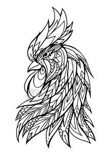 涂鸦鹰头鸡头插图用boh模式dles插图t恤上纹身印的草图dolehurst背景
