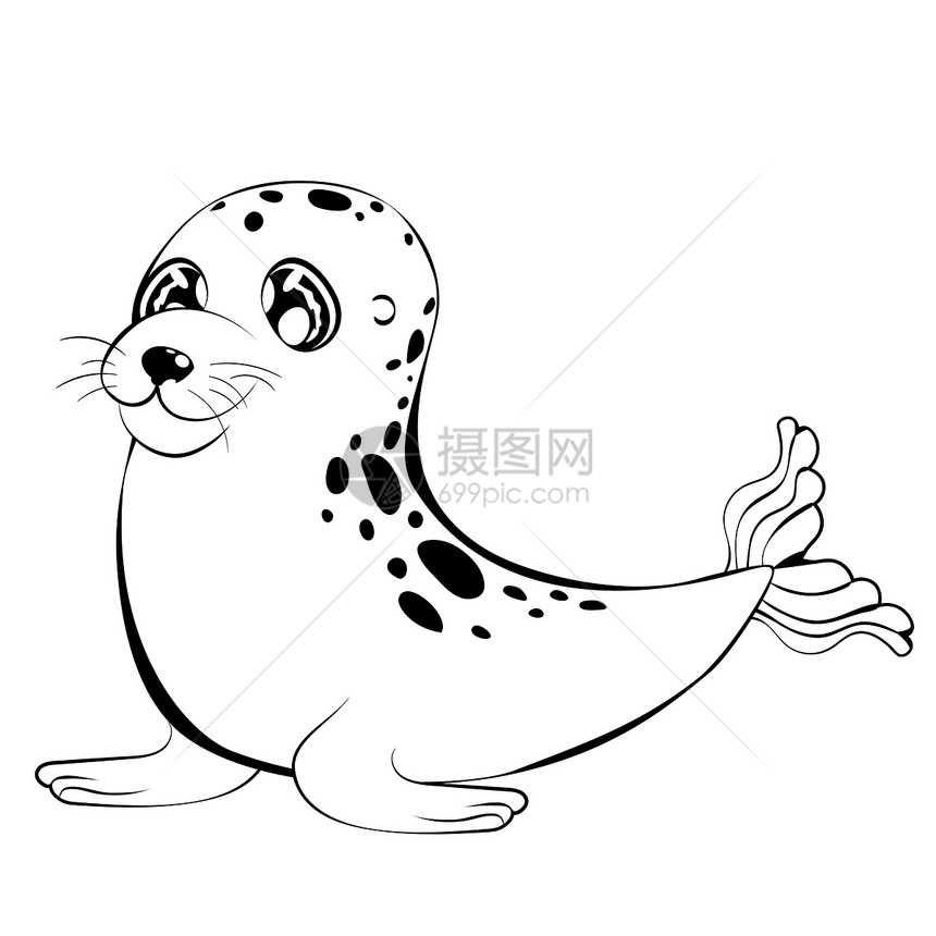 卡通川井海豹黑白两面设计大眼海豹图片