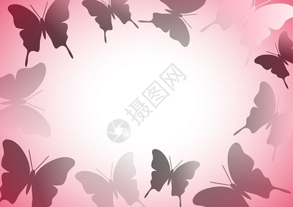 春季配有框架和蝴蝶的卡片封面或海报的矢量插图背景图片