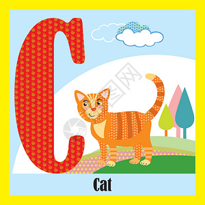 大写字母C开头的动物猫背景图片