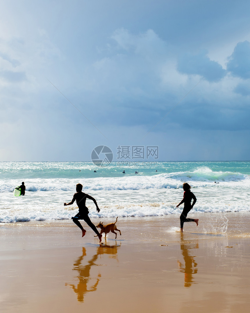 人们在海滩上玩狗的休眠图片