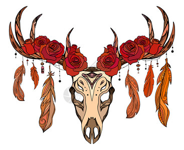复古风格头骨含有玫瑰羽毛的鹿头骨插图插画