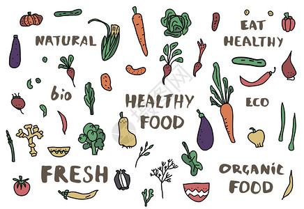 以字母形式收集健康食品用涂鸦风格制作的蔬菜矢量设计灯泡图片