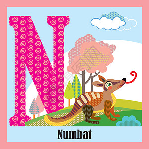 大写字母N开头的动物食蚁兽背景图片