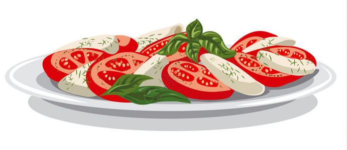 蔬菜沙沙拉和干酪番茄巴西拉沙莫扎里插画