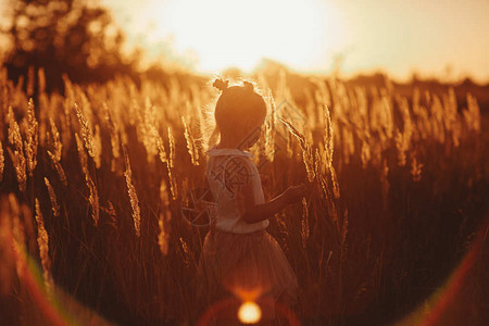 女孩在草药间田里玩耍日落时美丽的女孩图片