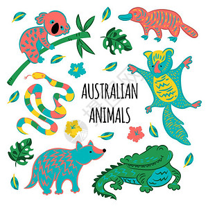 澳大利亚森林澳大利亚动物矢量插图插画