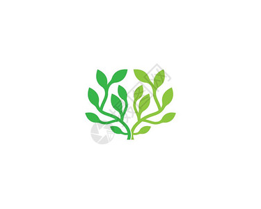 绿色叶的标志自然生态元素矢量图标图片
