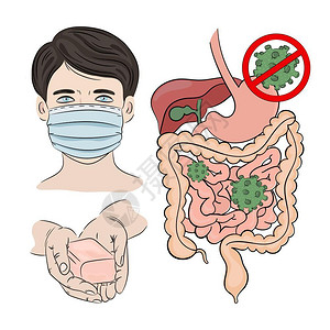 肠道病媒图片